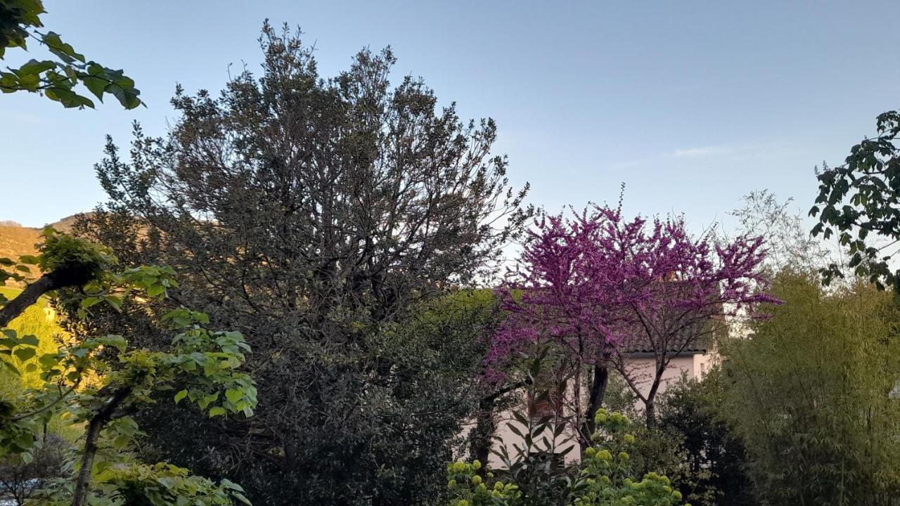 Aguessac Le Gite Du Tarn מראה חיצוני תמונה